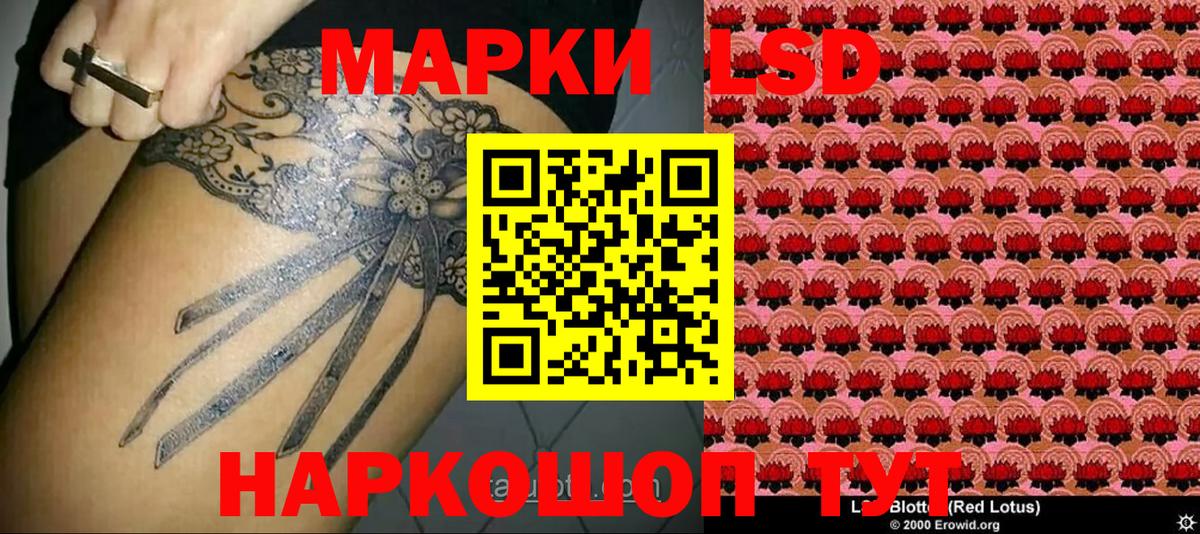 COCAIN Кунгур
