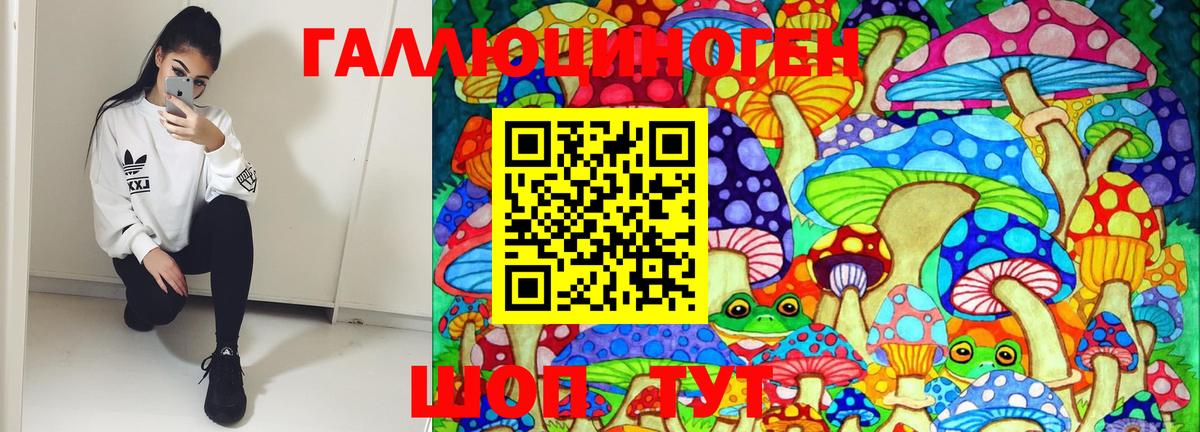 Псилоцибиновые грибы MAGIC MUSHROOMS  Галлюциногенные грибы мицелий  Вход с VPN  Кунгур 